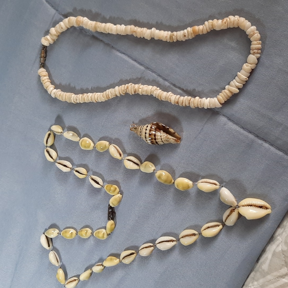2 Necklaces, 1 Shell Charm, Set